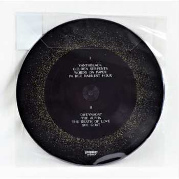 LP Dool: Here Now, There Then LTD | NUM | PIC