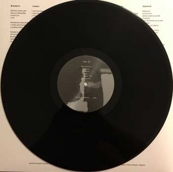 LP Dorota Nvotová: More