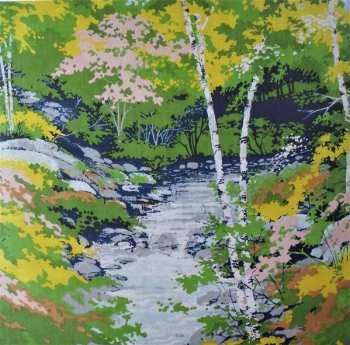 LP Doug Paisley: Starter Home