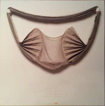 LP Doug Paisley: Strong Feelings