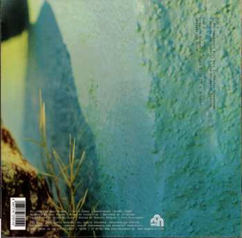 LP Downpilot: They Kind Of Shine