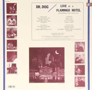 2LP Dr. Dog: Live At A Flamingo Hotel