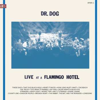 2LP Dr. Dog: Live At A Flamingo Hotel