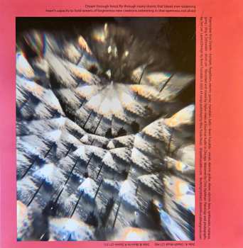 LP Drazek Fuscaldo: Attachments