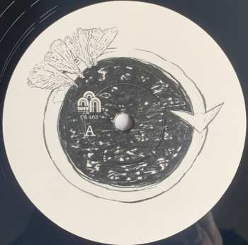 LP DRIFT.: Symbiosis