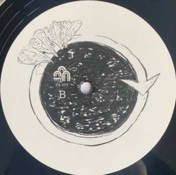 LP DRIFT.: Symbiosis