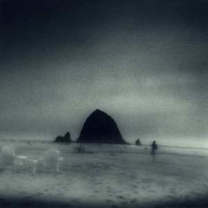 LP Drowse: Wane Into It