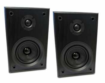 Audiotechnika Dual Ls 100 Active Monitor