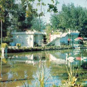 CD Ducktails: III: Arcade Dynamics