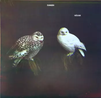 Dungen: Häxan
