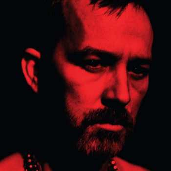 LP Duquette Johnston: The Social Animals