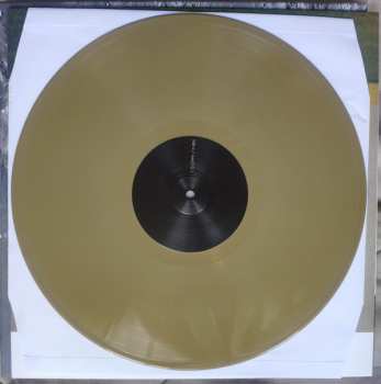 4LP/Caja Duster: Capsule Losing Contact CLR