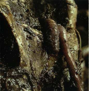 CD Dying Fetus: History Repeats