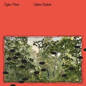 LP Dylan Moon: Option Explore