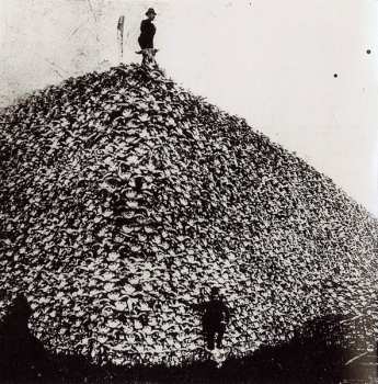 2LP Earth: Hex; Or Printing In The Infernal Method