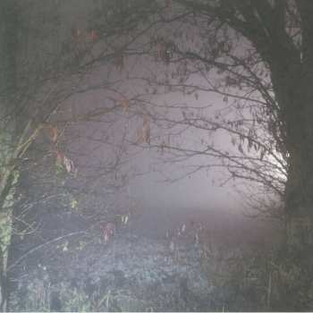 LP Earth Trax: Closer Now