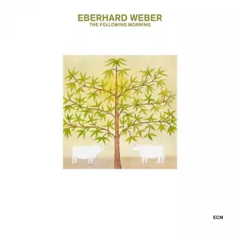 Eberhard Weber: The Following Morning
