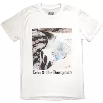 Camiseta Porcupine