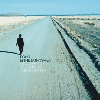Album Echo & The Bunnymen: What Are You Going To Do With Your: 25th Anniv
