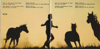CD Eddie Vedder: Into The Wild (Music For The Motion Picture) DIGI