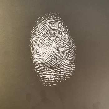 LP Eddie Vedder: Ukulele Songs DLX