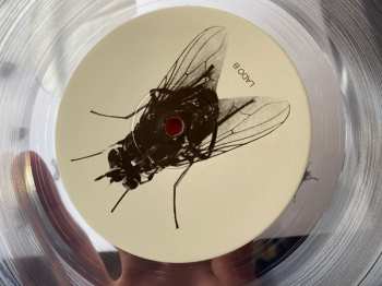 LP Eduardo Mateo: La Maquina Del Tiempo – La Mosca