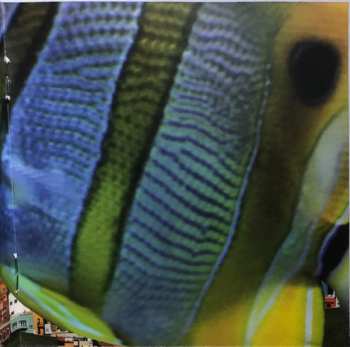 CD El Guincho: Alegranza