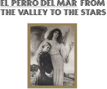 CD El Perro Del Mar: From The Valley To The Stars
