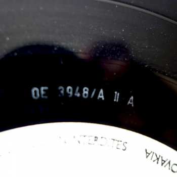 LP Elán: Kamikadze Lover