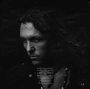 LP Electric Guitars: String Fever