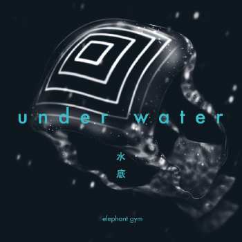 LP Elephant Gym: Underwater CLR | LTD