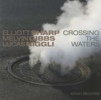 Album Elliott Sharp: Crossing The Waters