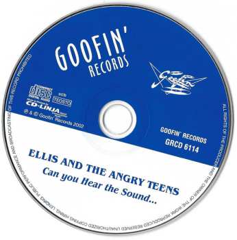 CD Ellis And The Angry Teens: Can You Hear The Sound...