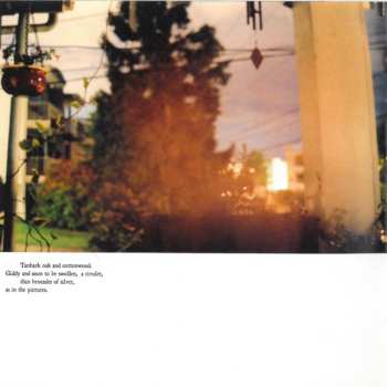 CD Eluvium: Talk Amongst The Trees