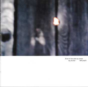 CD Eluvium: Talk Amongst The Trees