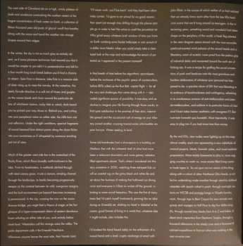 2LP Emeralds: Does It Look Like I'm Here? LTD | CLR