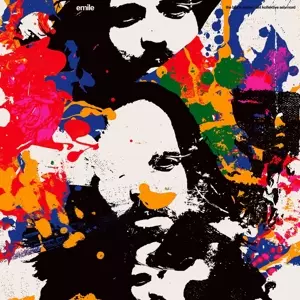 Black Spider / Det Kollekti