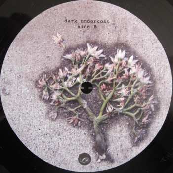 LP Emily Jane White: Dark Undercoat LTD