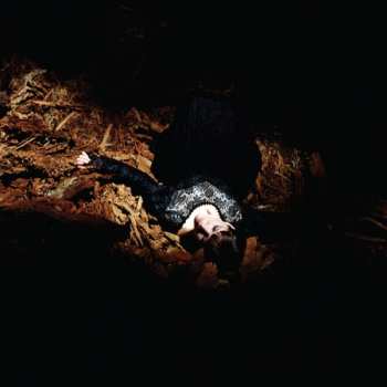 2LP Emily Jane White: Victorian America