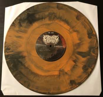 LP Enterprise Earth: Luciferous LTD | CLR