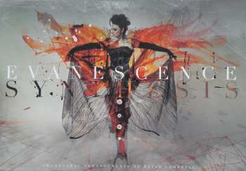 CD/DVD/Caja Evanescence: Synthesis DLX | LTD