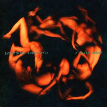 CD Everything Everything: A Fever Dream