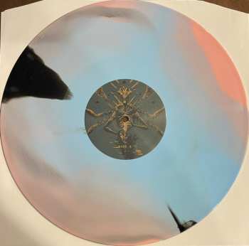 LP Exocrine: The Hybrid Suns
