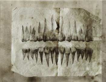 CD Exodus: Exhibit B: The Human Condition LTD