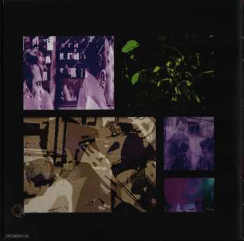 5CD Eyeless In Gaza: Skeletal Framework (The Cherry Red Recordings 1981-1986)