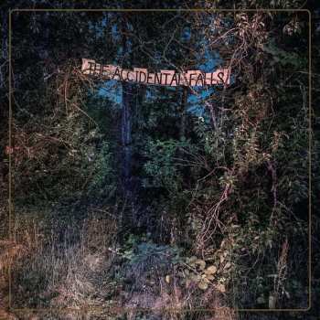 LP Eyelids: The Accidental Falls