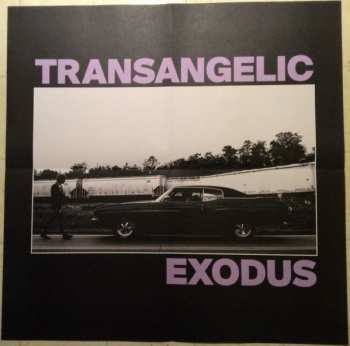 LP Ezra Furman: Transangelic Exodus LTD | CLR