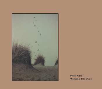 Album Fabio Orsi: Waltzing The Dune