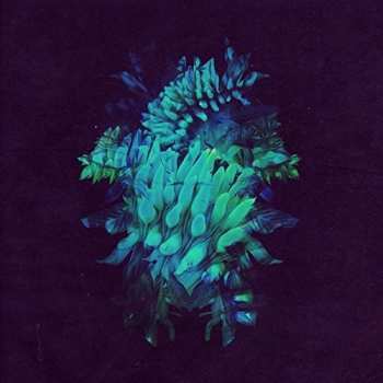 CD Fakear: All Glows