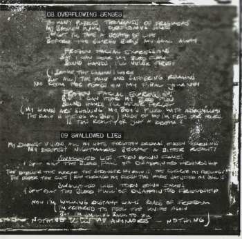 CD Fall Of Serenity: Bloodred Salvation